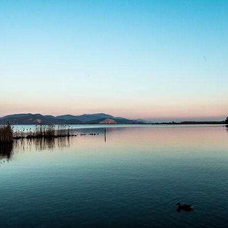Hotel Butterfly Torre del Lago Puccini Extérieur photo