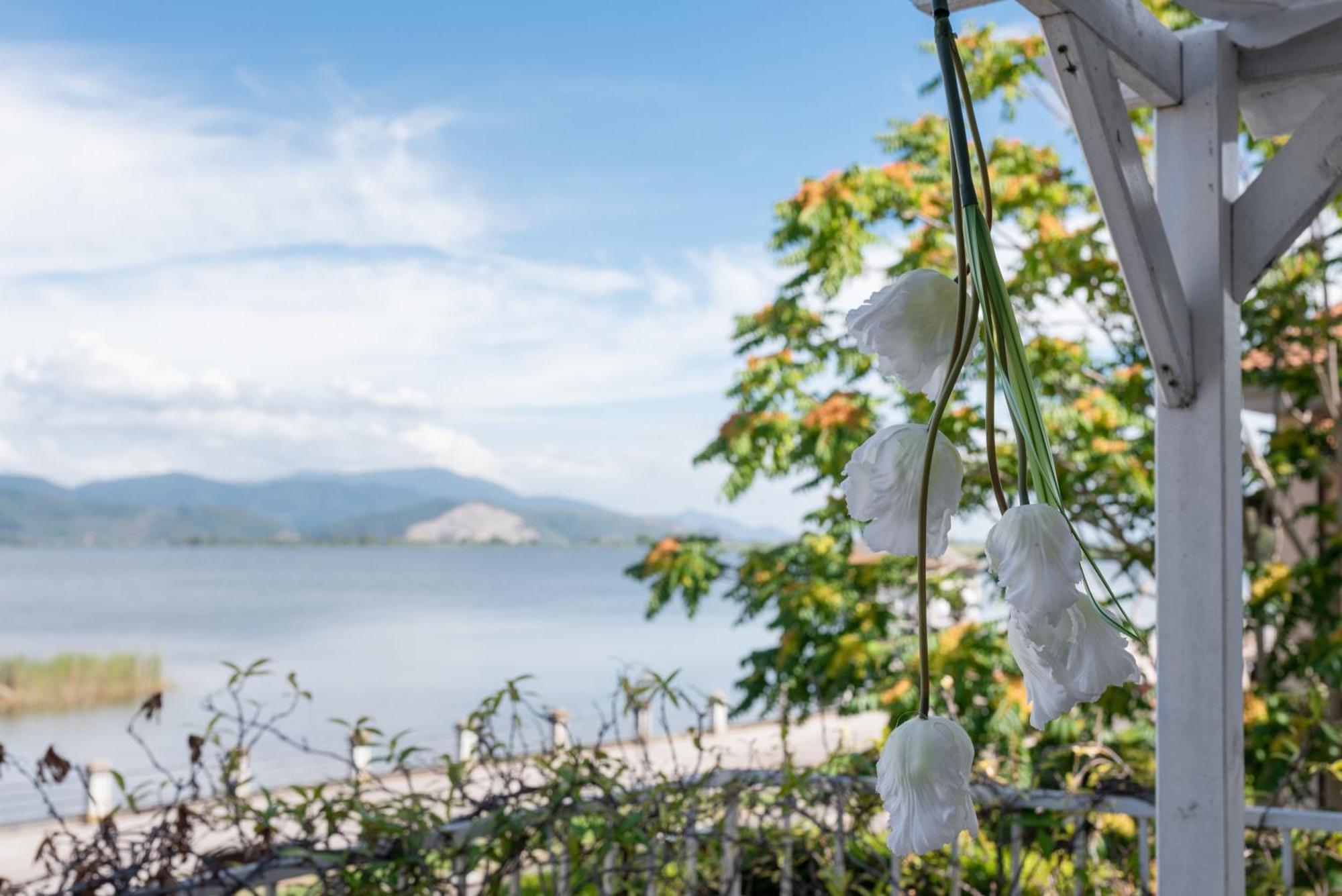 Hotel Butterfly Torre del Lago Puccini Extérieur photo